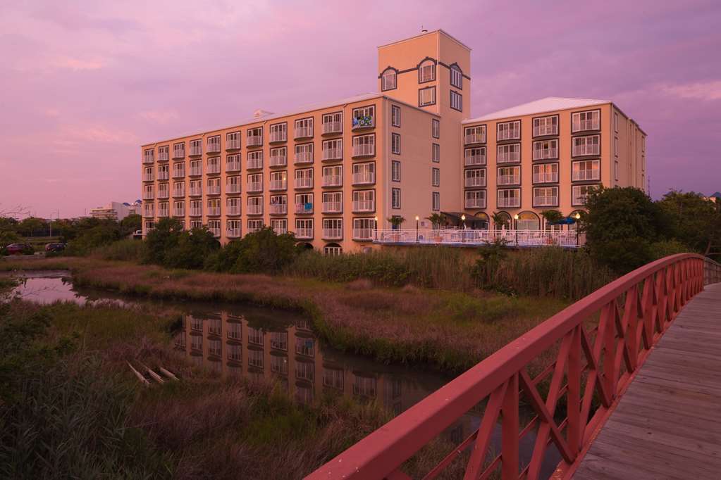 Coconut Malorie Resort Hotel, Ascend Hotel Collection Ocean City Ngoại thất bức ảnh